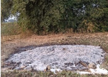 अज्ञात व्यक्तीने पेटवली सोयाबीनची सुडी