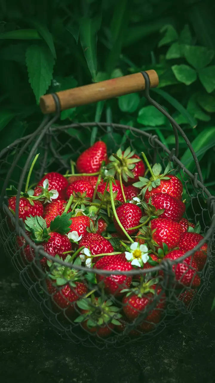 हे आहेत स्ट्रॉबेरी खाण्याचे फायदे 